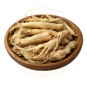 探尋全球領(lǐng)先的天然植物人參提取物粉供應(yīng)商與天然香料解決方案